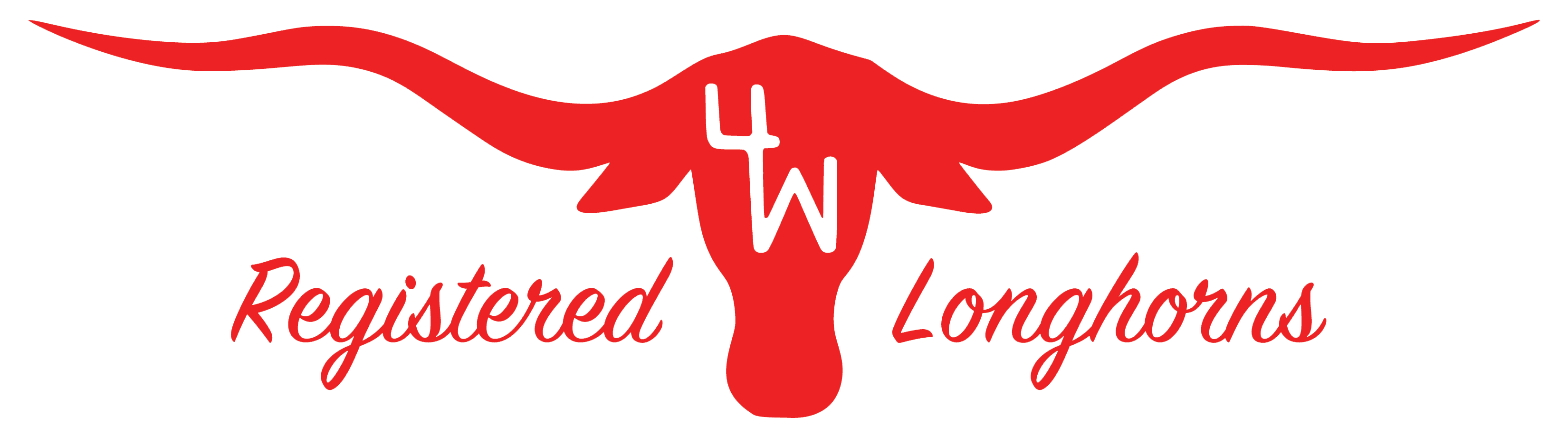 4W Longhorns logo